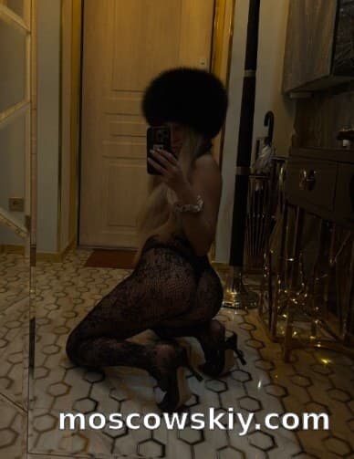 Nikol 8