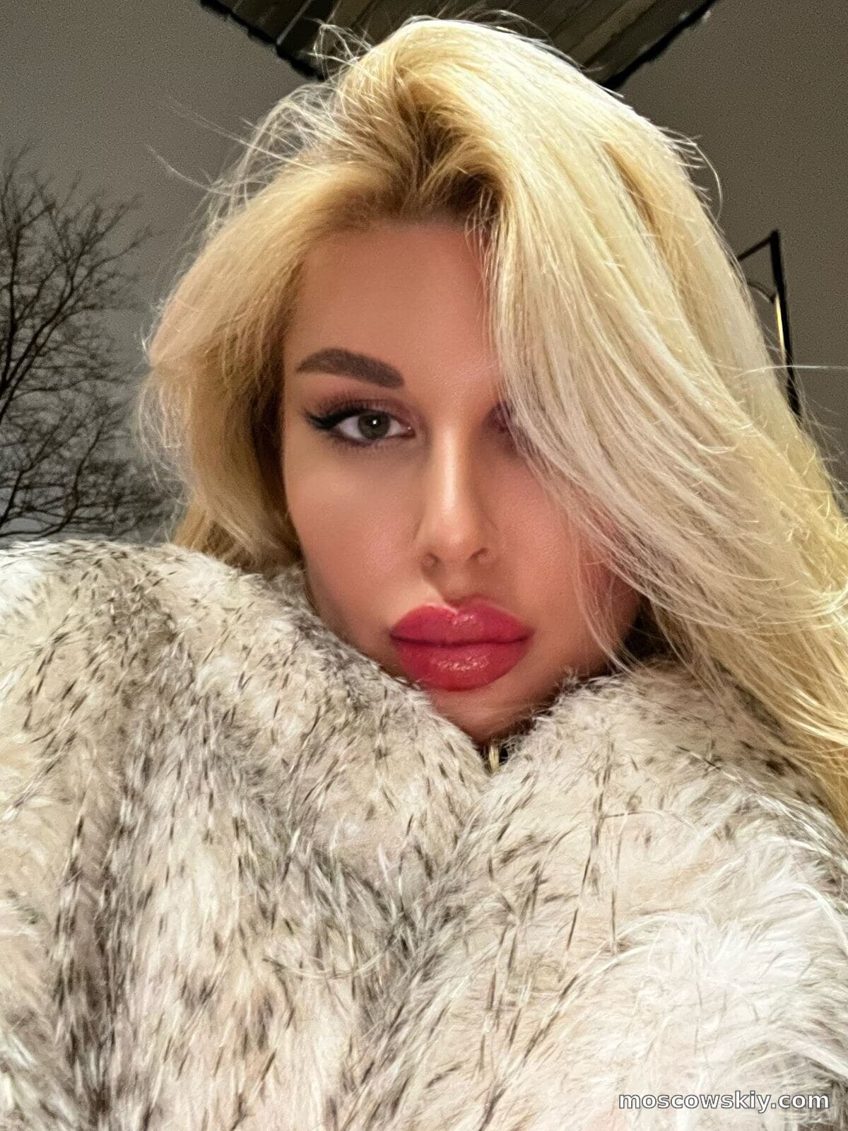 Abella 4