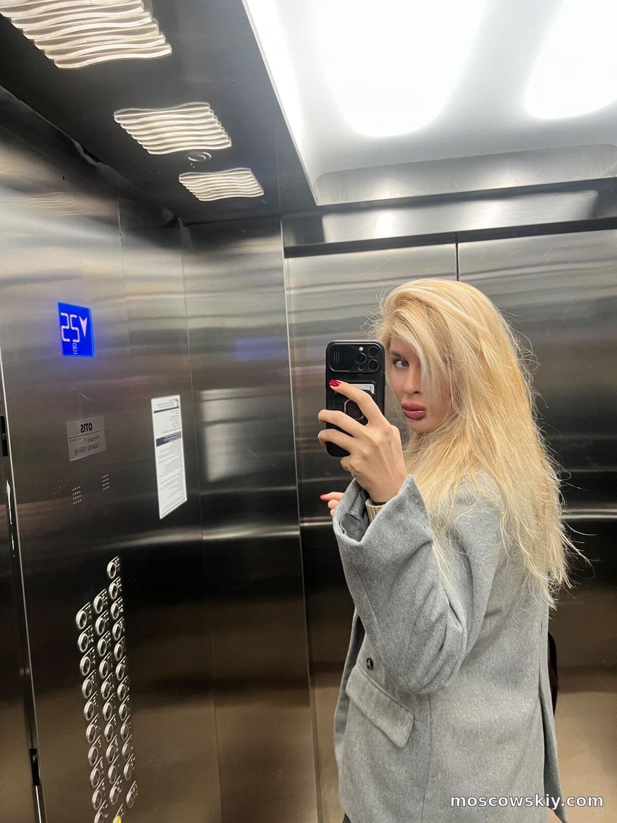 Abella 6